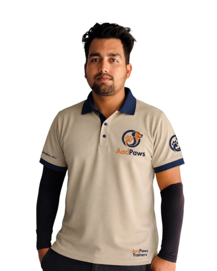Raj Kaushik